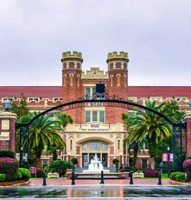 UNIVERSITY OF FLORIDA